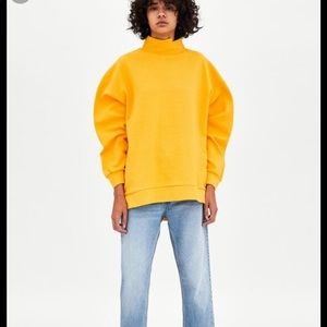 Zara sweater